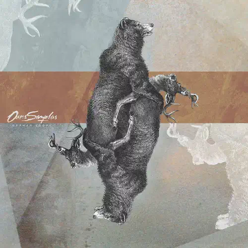 Orphan Loops - Ours Samplus